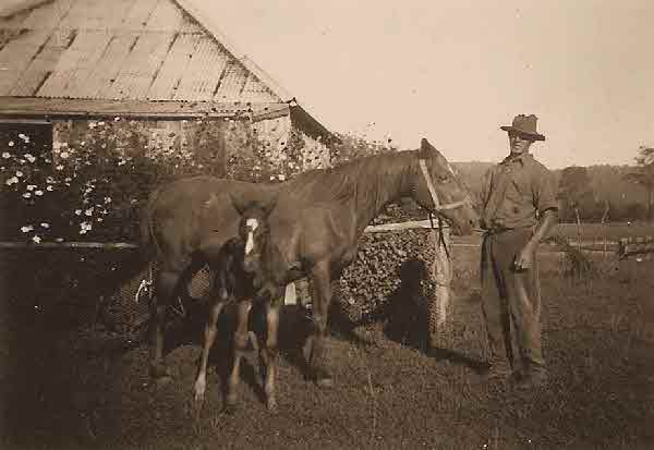 Photo of photos/Carl Vincent McLennan (b1863) with horse